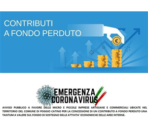 Contributi a fondo perduto a sostegno del commercio e dell'artigianato previsto dal fondo nazionale di sostegno alle attività economiche, artigianali e commerciali - DPCM 24.09.2020 - Spese riferite annualità 2022